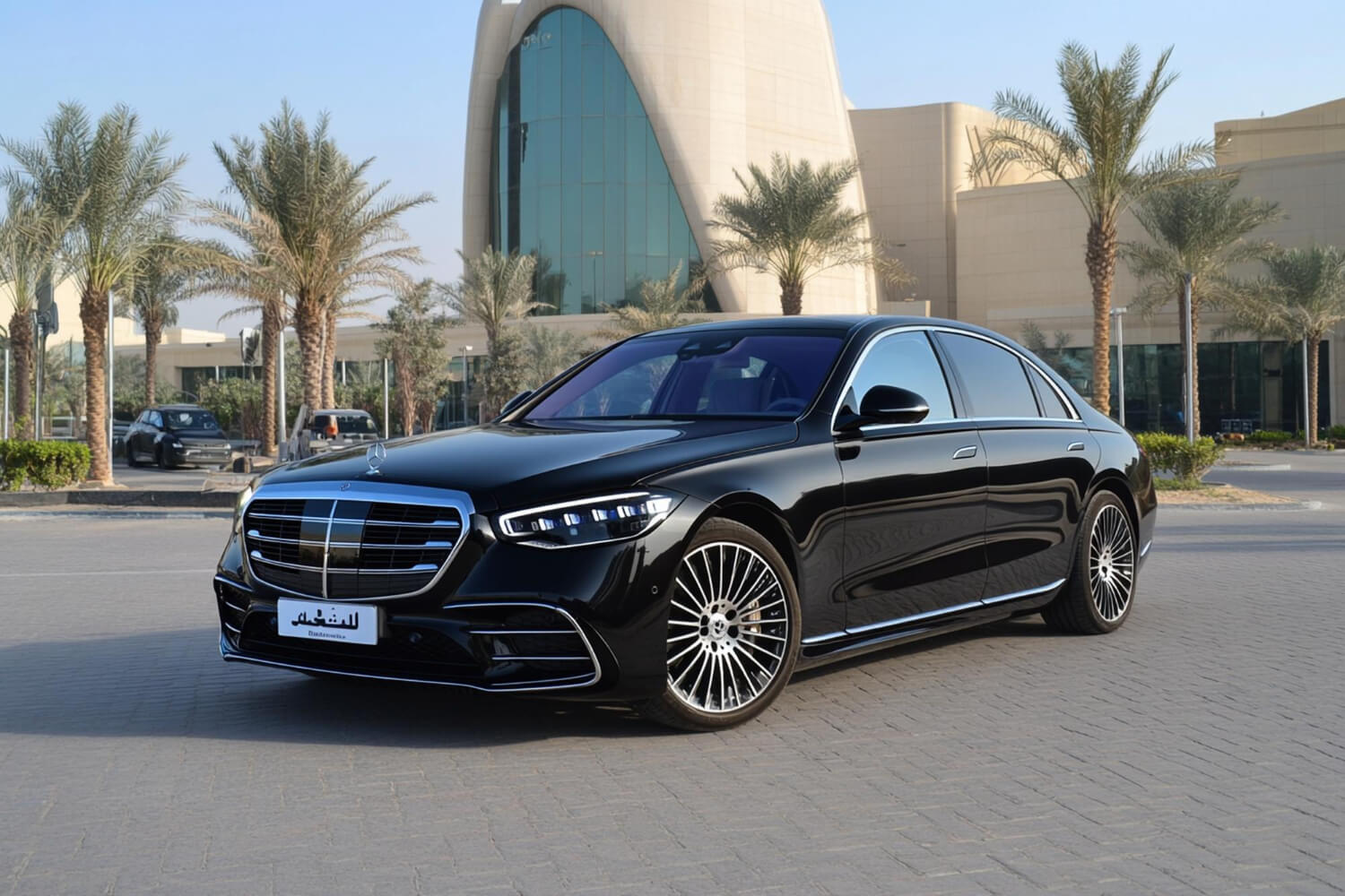 Luxury Car vs. Taxi Service
