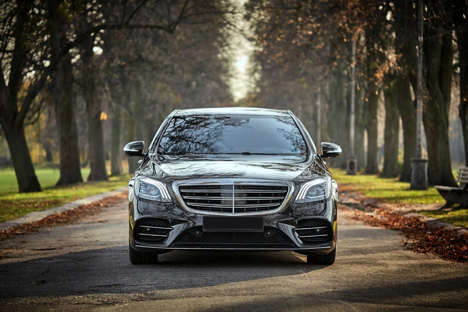 Luxury Car vs. Taxi Service